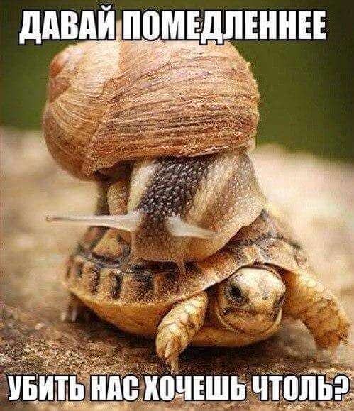 Давай помедленнее