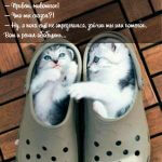 Привет животное