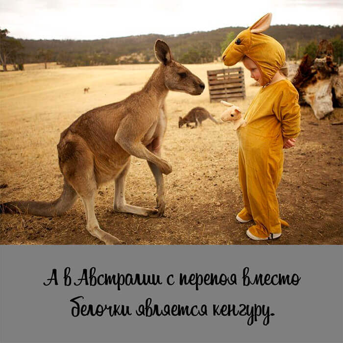 День Австралии