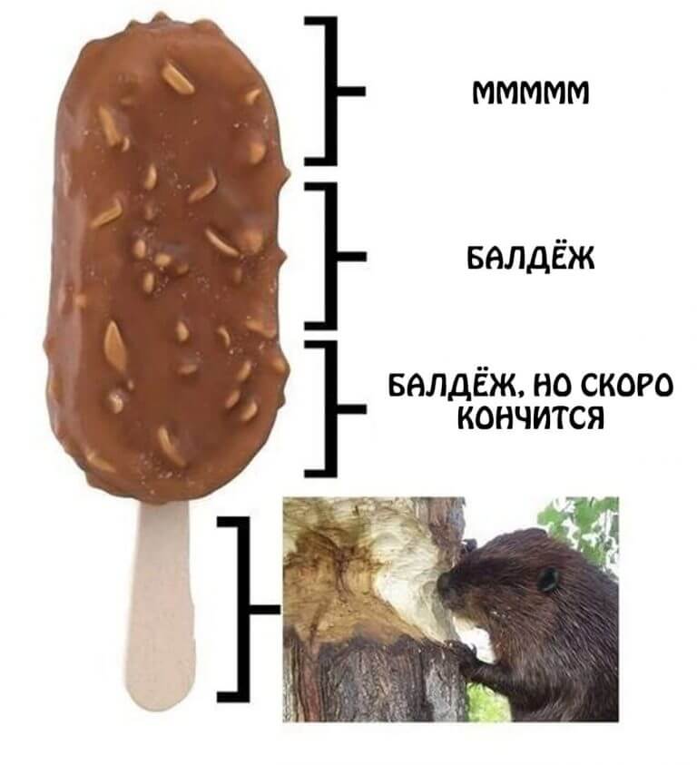 День рождения эскимо