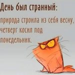 День был странный