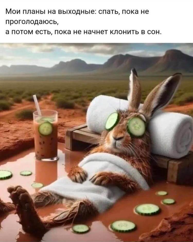 План на выходные