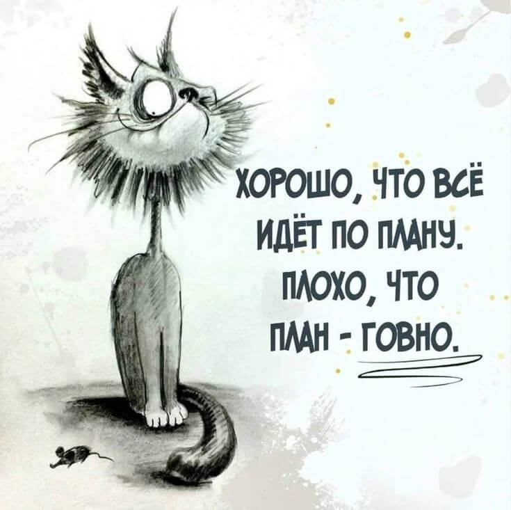 Все по плану