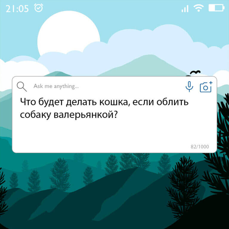 Что будет делать кошка