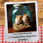 Семья хомячков снимет банку