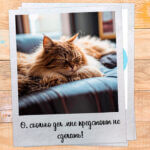 Сколько дел мне предстоит