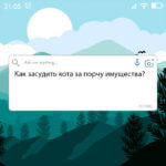 Как засудить кота за порчу имущества