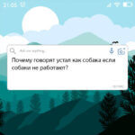 Почему говорят устал как собака