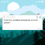 Если есть хозяйки домашние