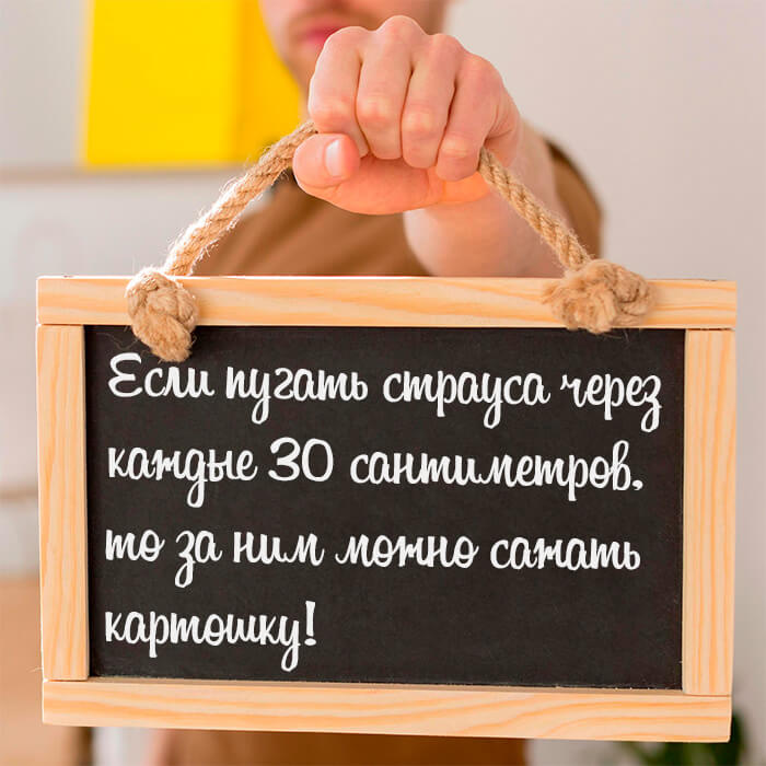Если пугать страуса