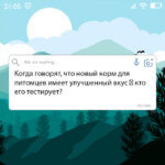 Кто его тестирует