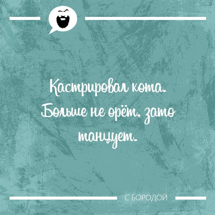 Кастрировал кота