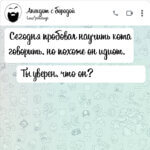 Сегодня пробовал научить кота говорить