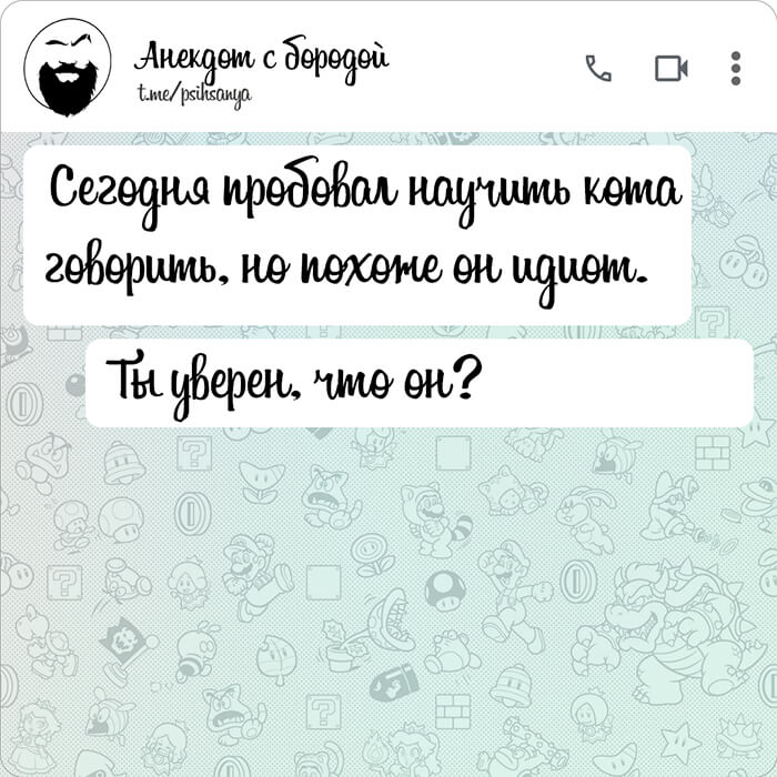 Сегодня пробовал научить кота говорить