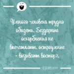 Умного человека трудно обидеть