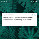 Все мужики - сволочи