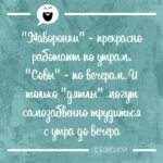 Жаворонки прекрасно работают по утрам