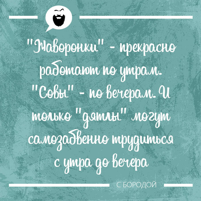 Жаворонки прекрасно работают по утрам