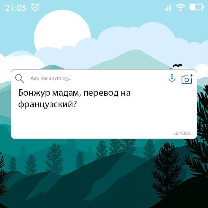 Бонжур мадам перевод на французский