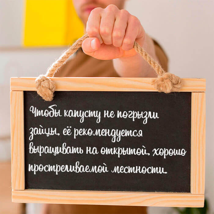 Чтобы капусту не погрызли зайцы