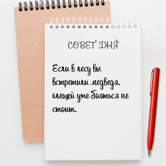 Если в лесу вы встретили медведя