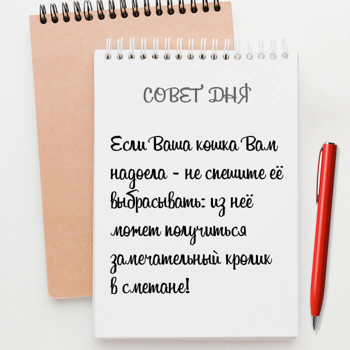 Если Ваша кошка Вам надоела