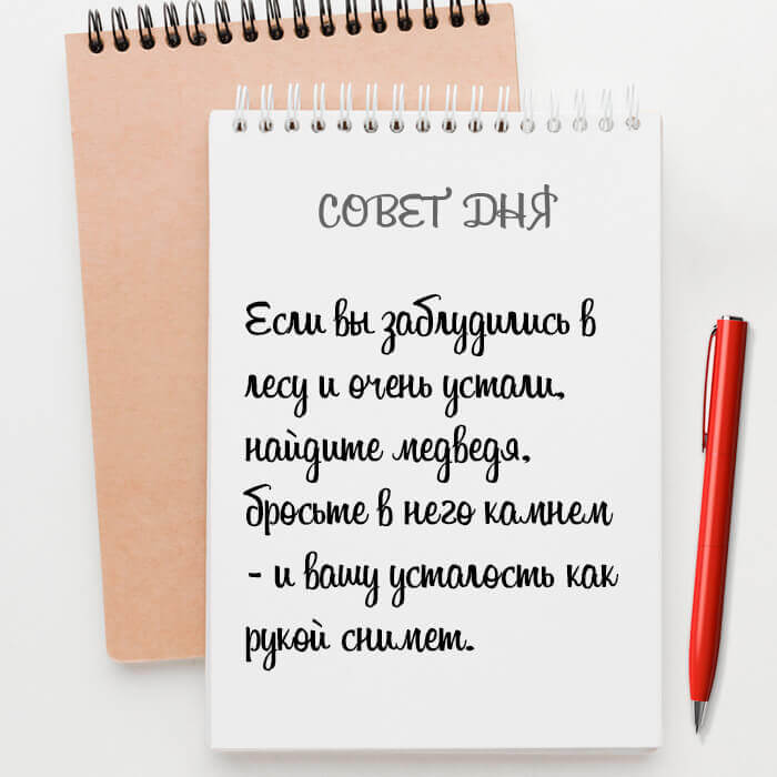 Если вы заблудились в лесу и очень устали