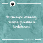 И крот ищет место под солнцем