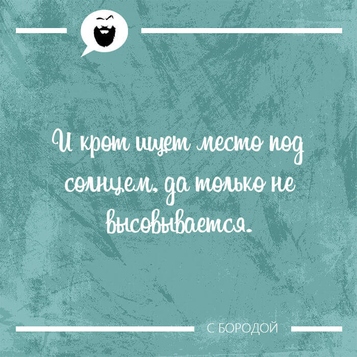 И крот ищет место под солнцем
