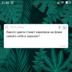 Какого цвета станет хамелеон