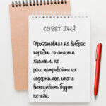Не рассматривайте их содержимое