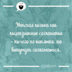 Женская логика