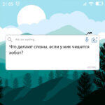 Что делают слоны