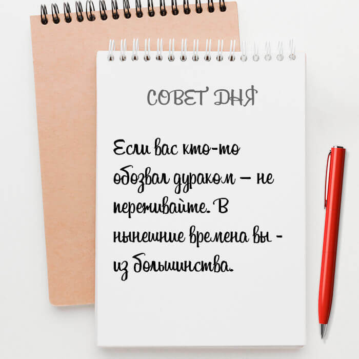 Если вас кто-то обозвал дураком