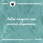 Люблю голодного кота