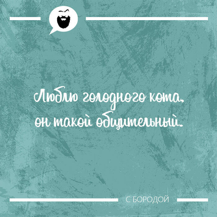 Люблю голодного кота