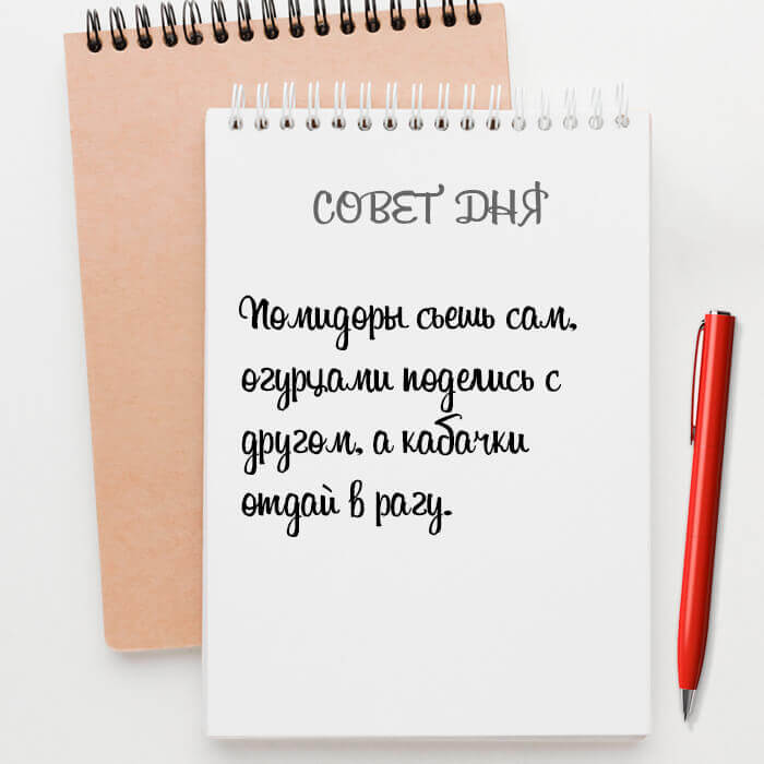 Помидоры съешь сам