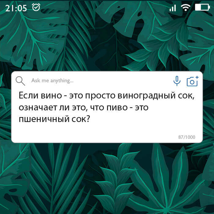 Пшеничный сок
