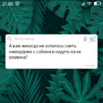 Снять намордник с собаки