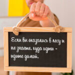 Если вы оказались в лесу