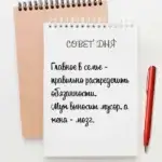 Главное в семье - правильно распределить обязанности