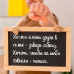 Хочешь иметь друга - заведи собаку
