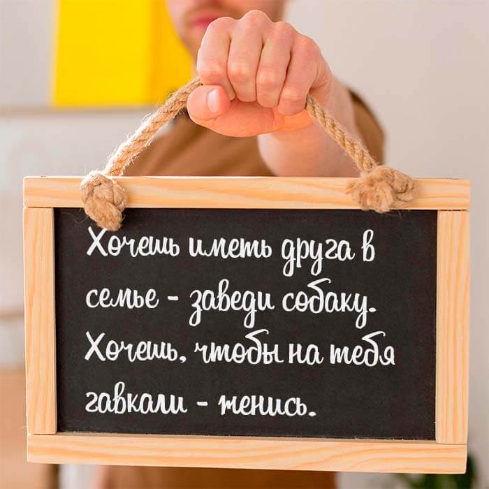 Хочешь иметь друга - заведи собаку