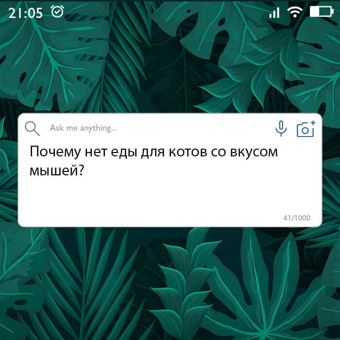 Почему нет еды для котов со вкусом мышей
