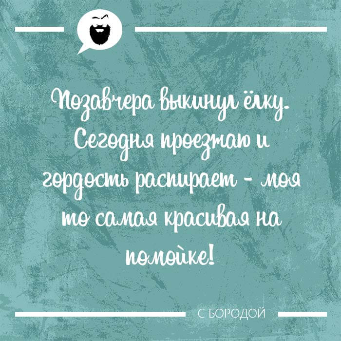 Позавчера выкинул ёлку моя то самая красивая на помойке
