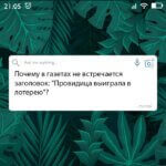 Провидица выиграла в лотерею