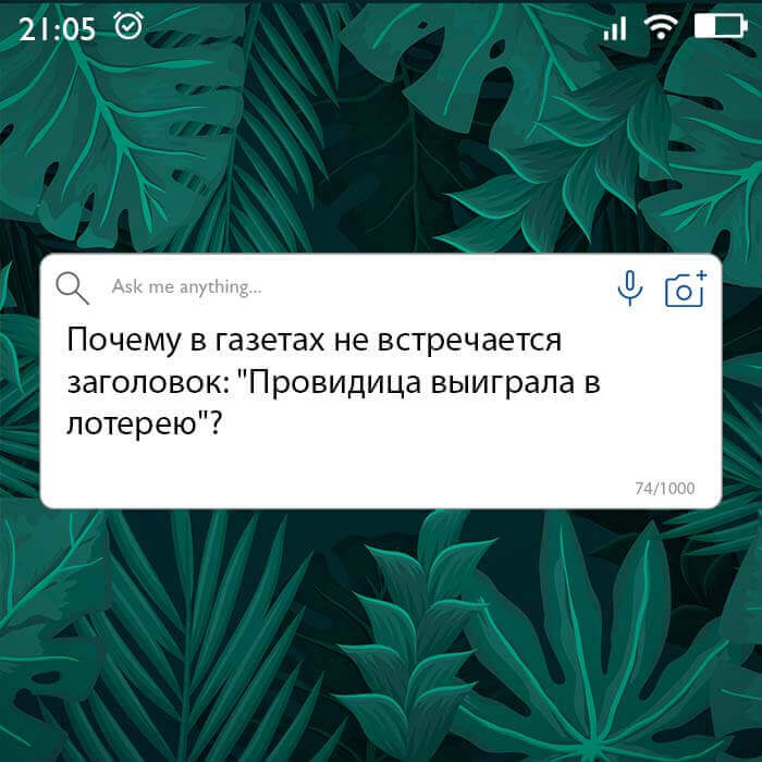 Провидица выиграла в лотерею