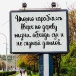 Упорно карабкаясь вверх по дереву жизни