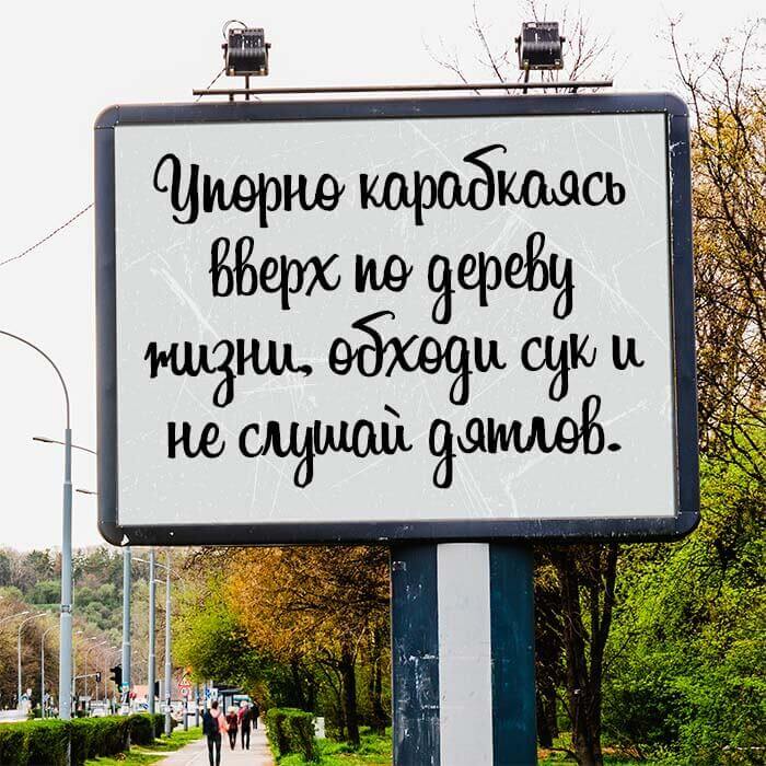 Упорно карабкаясь вверх по дереву жизни