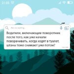 Водители включающие поворотник после того как начали поворачивать